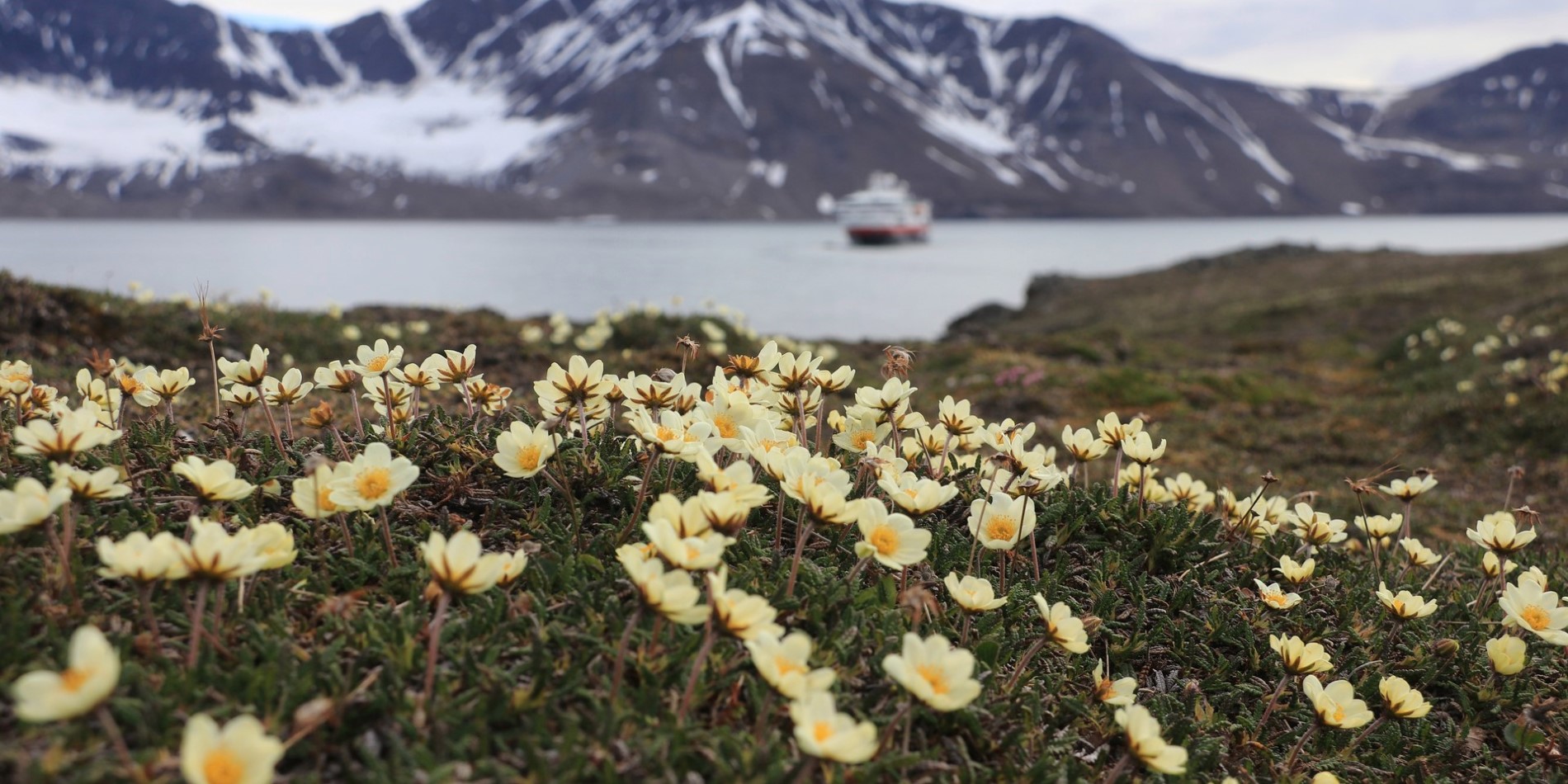 Exploring St Jonsfjord's beautiful wilderness and old settlements