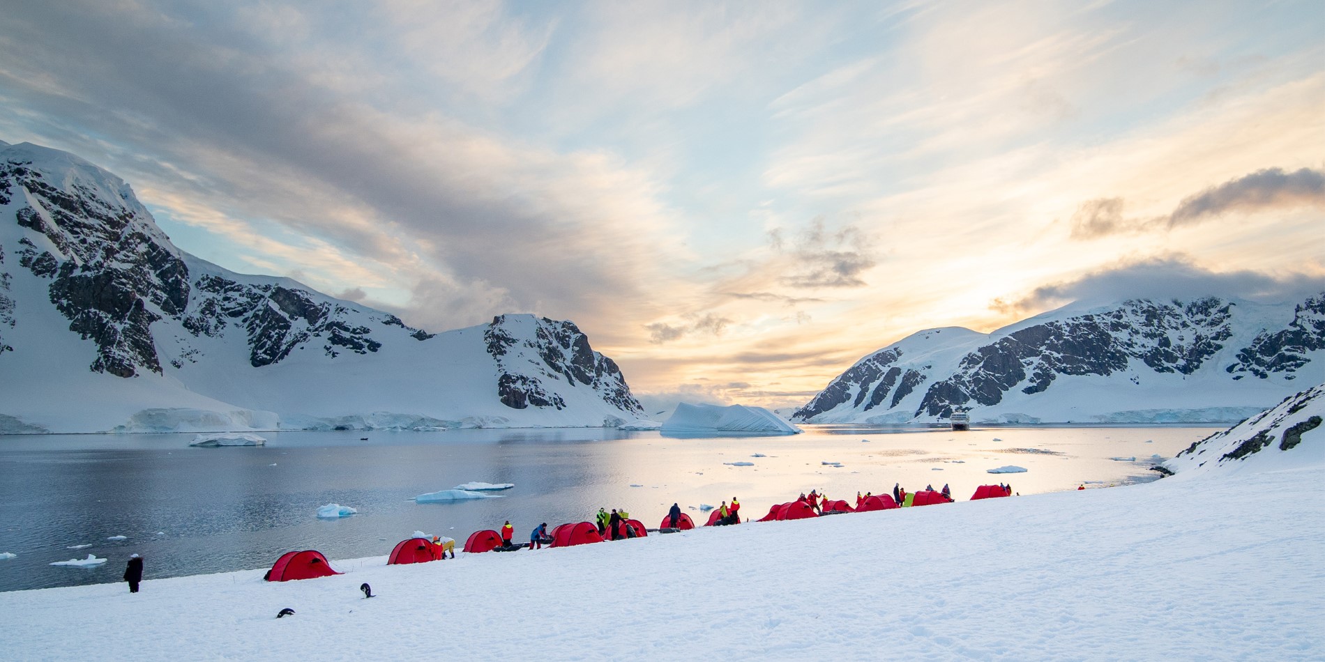 Camping på Danco Island, Antarktis