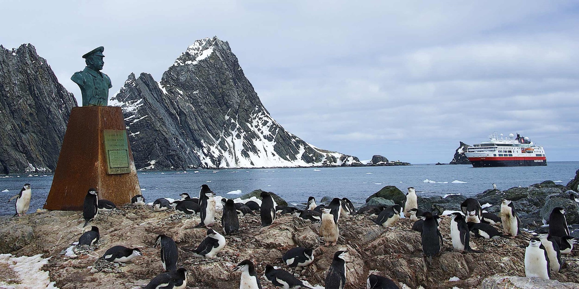 Hakestropp pingviner på Elephant Island, Sør-Georgia
