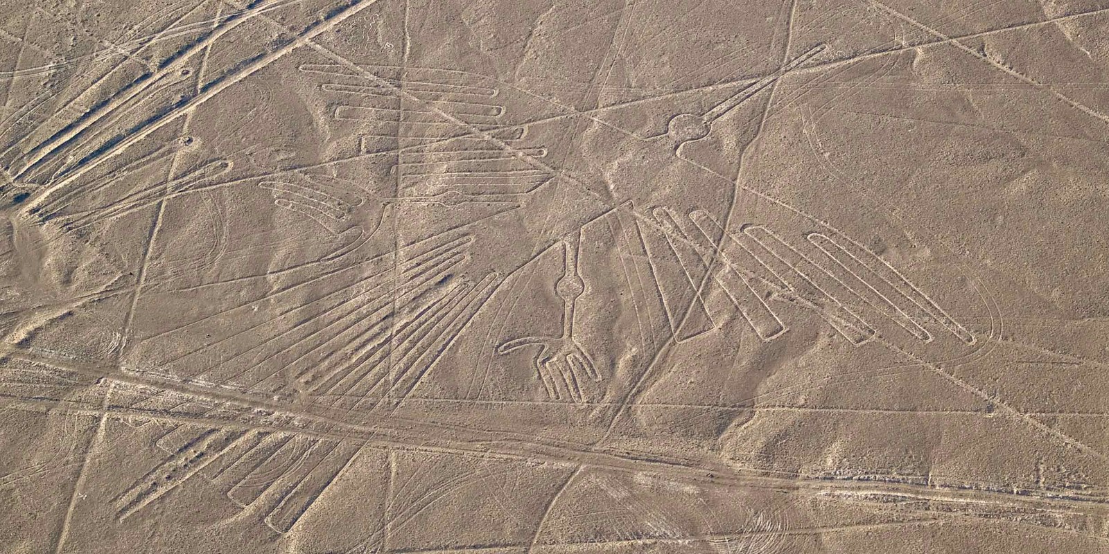 méthodes de création des crop circles... - Page 9 Nazca-condor-geoglyph_jarno-gonzalez-zarraonandia