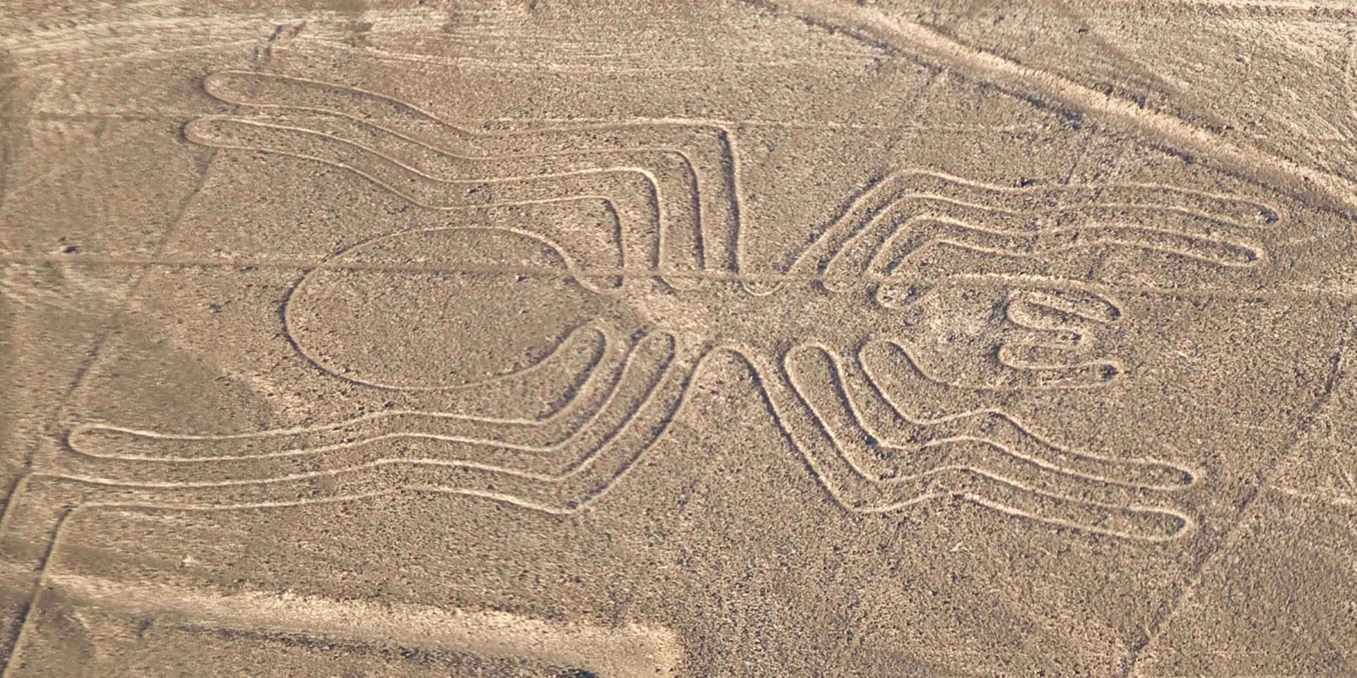 Edderkopp geoglyph, Nazca linjer, Peru